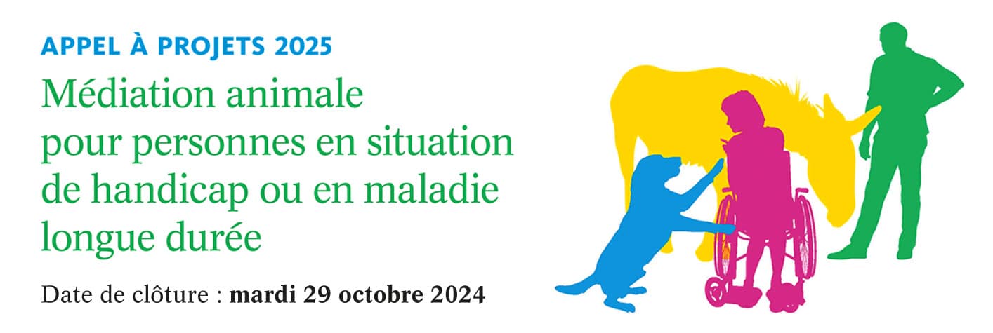 Fondation-Sommer_Bandeau. Handicap_2025_appel_projets